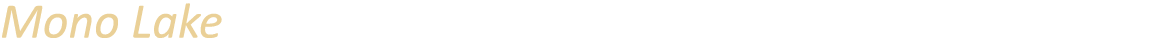 Mono Lake