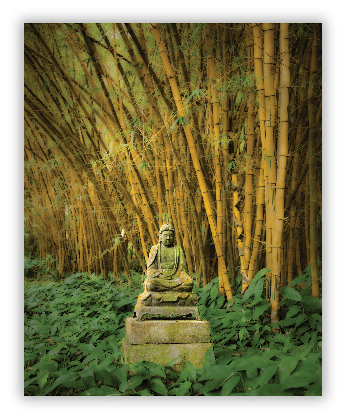 Allerton Botanical Garden