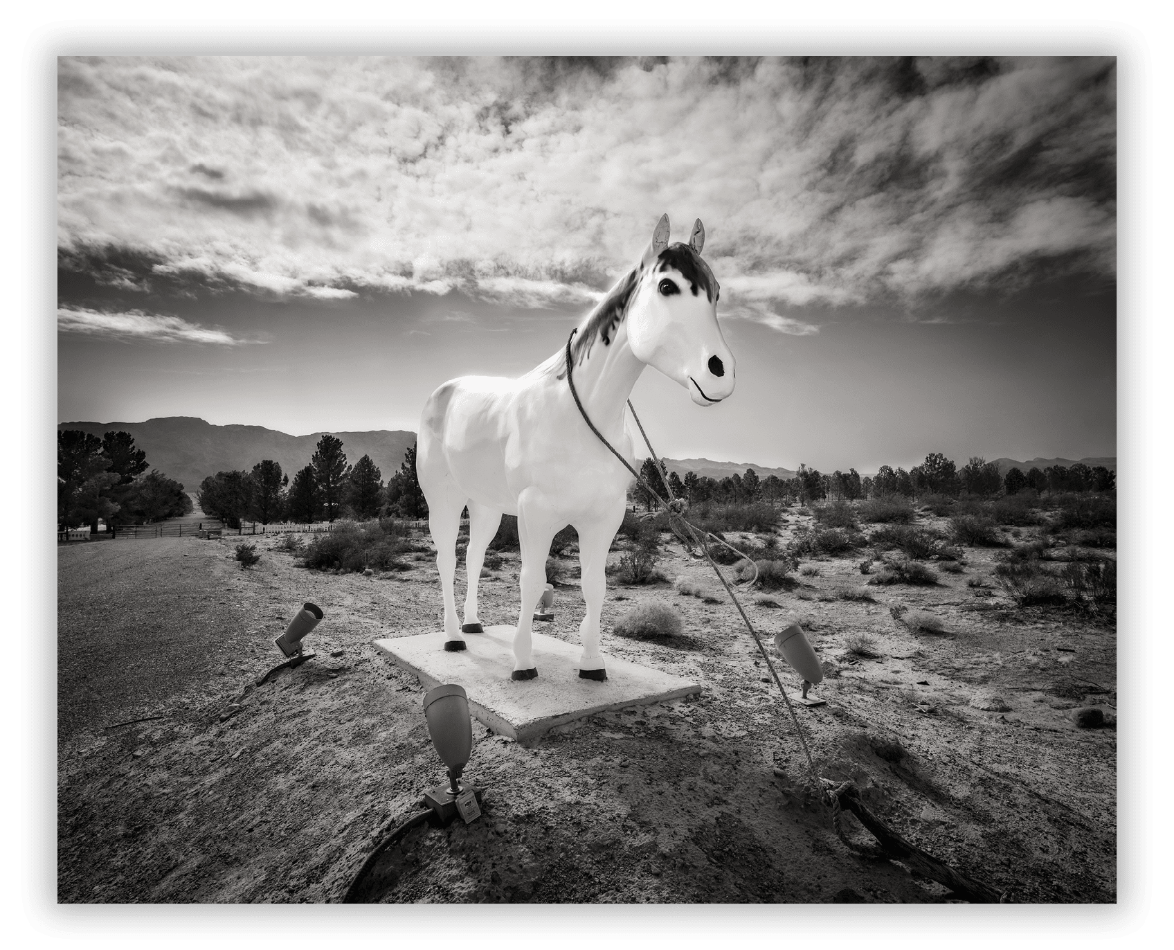 Western Elite Landfill's white horse statue Great Basin Highway Route 93 Nevada