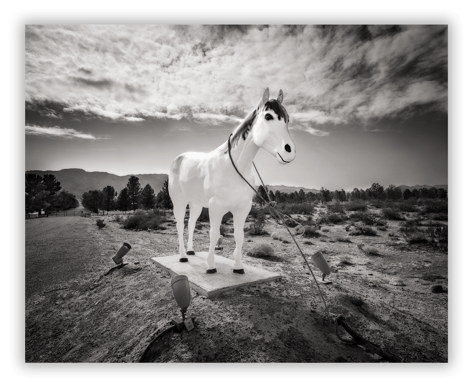 Western Elite Landfill's white horse statue Great Basin Highway Route 93 Nevada