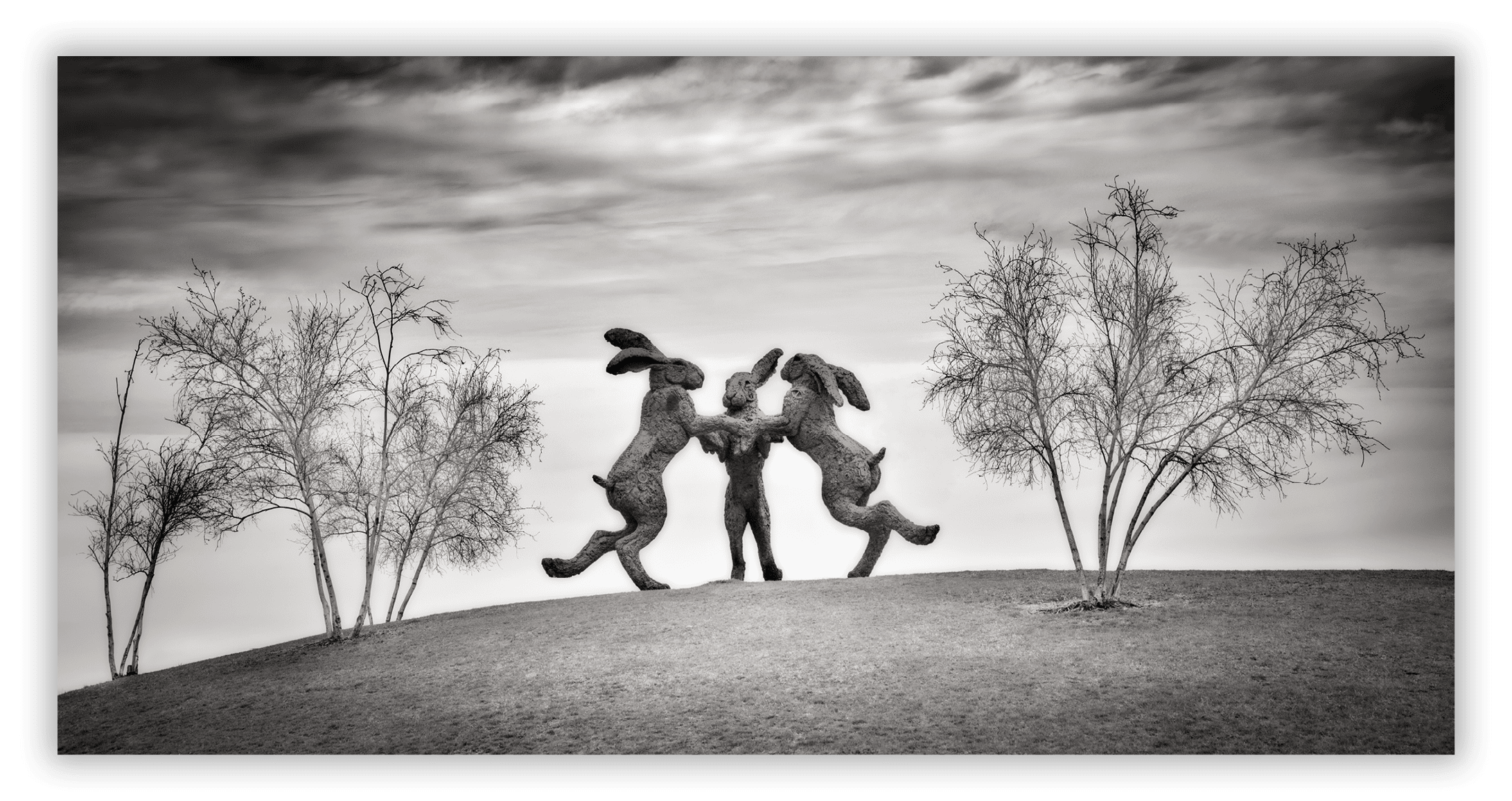 Dancing Rabbits, Dublin, OH