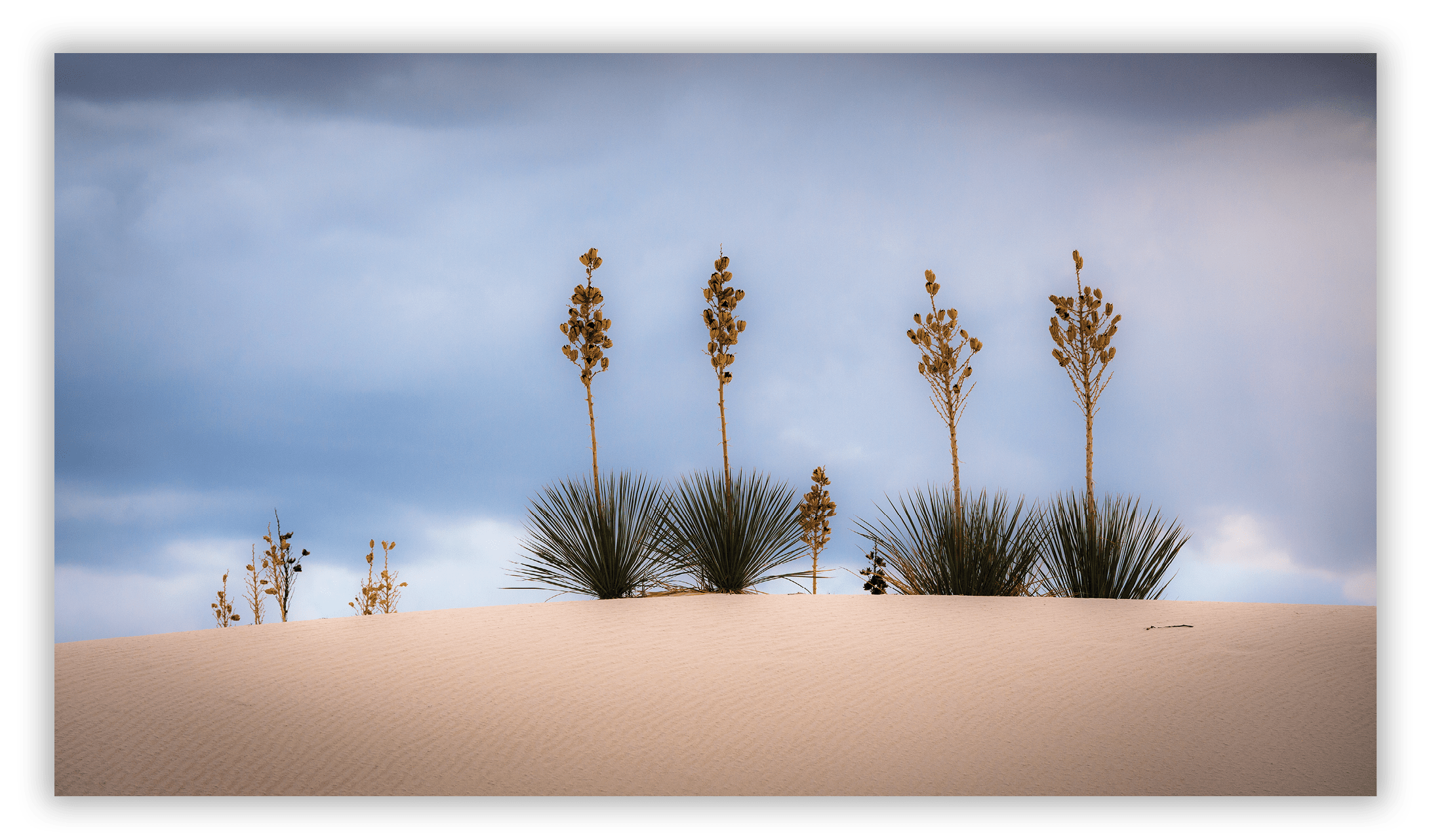 White Sands, NM