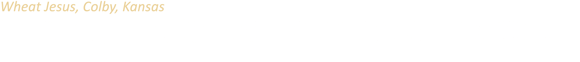 Wheat Jesus, Colby, Kansas Conceived in 2009 by Tuffy and Linda Kay Taylor, the owners of the adjoining shopping cent...