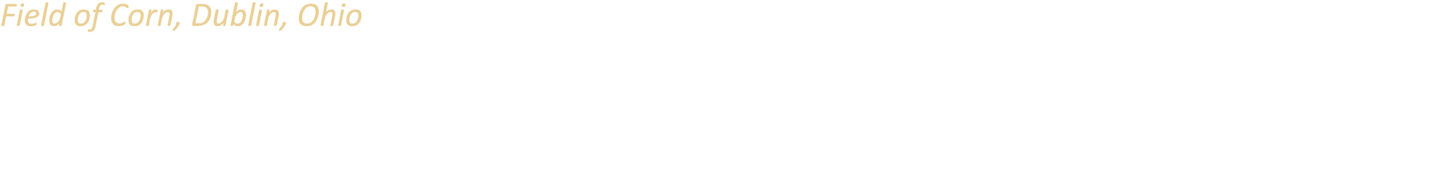 Field of Corn, Dublin, Ohio Created by artist Malcolm Cochran in 1994, Field of Corn consists of 109 6-foot-tall, 150...