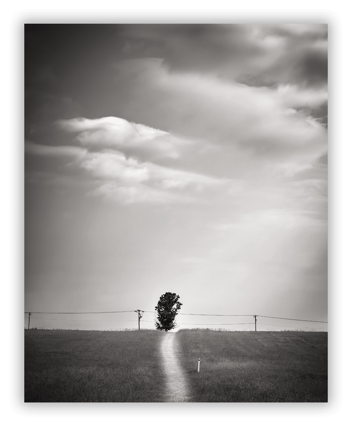 New Market Battlefield