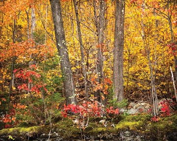 Near the hairpin turn, Route 2