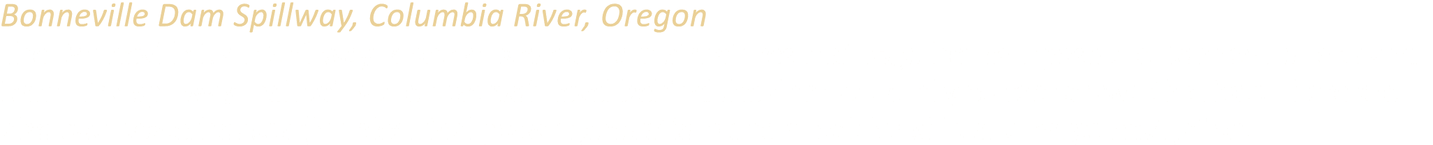 Bonneville Dam Spillway, Columbia River, Oregon The Bonneville Dam Spillway is one of several dam structures that tog...
