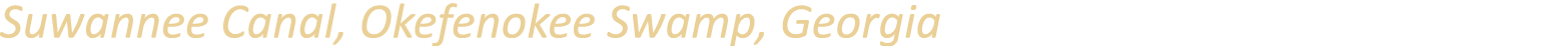 Suwannee Canal, Okefenokee Swamp, Georgia
