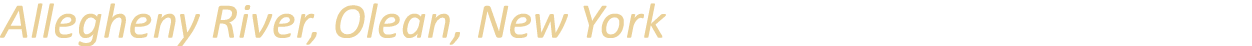 Allegheny River, Olean, New York