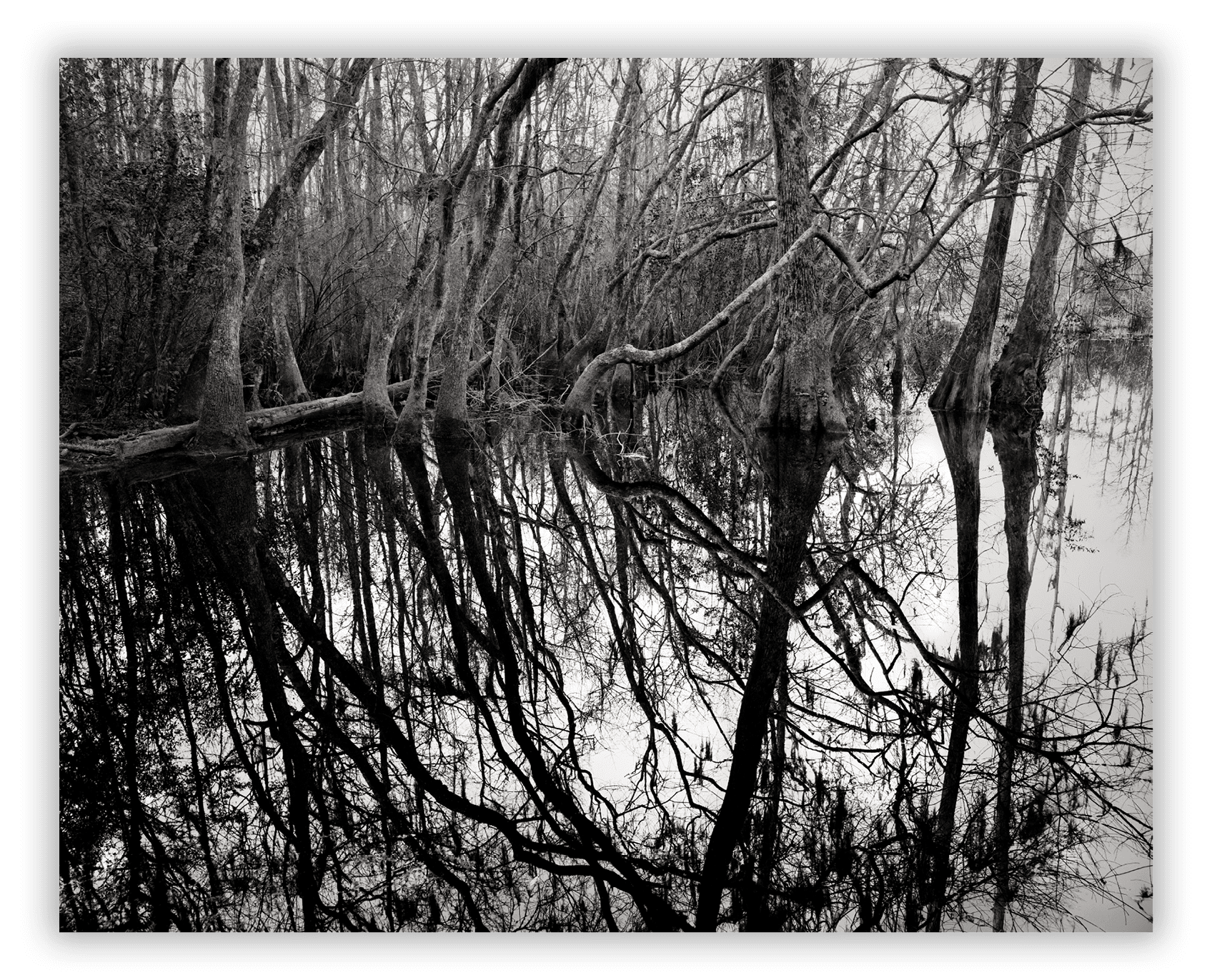 Imacon Color Scanner