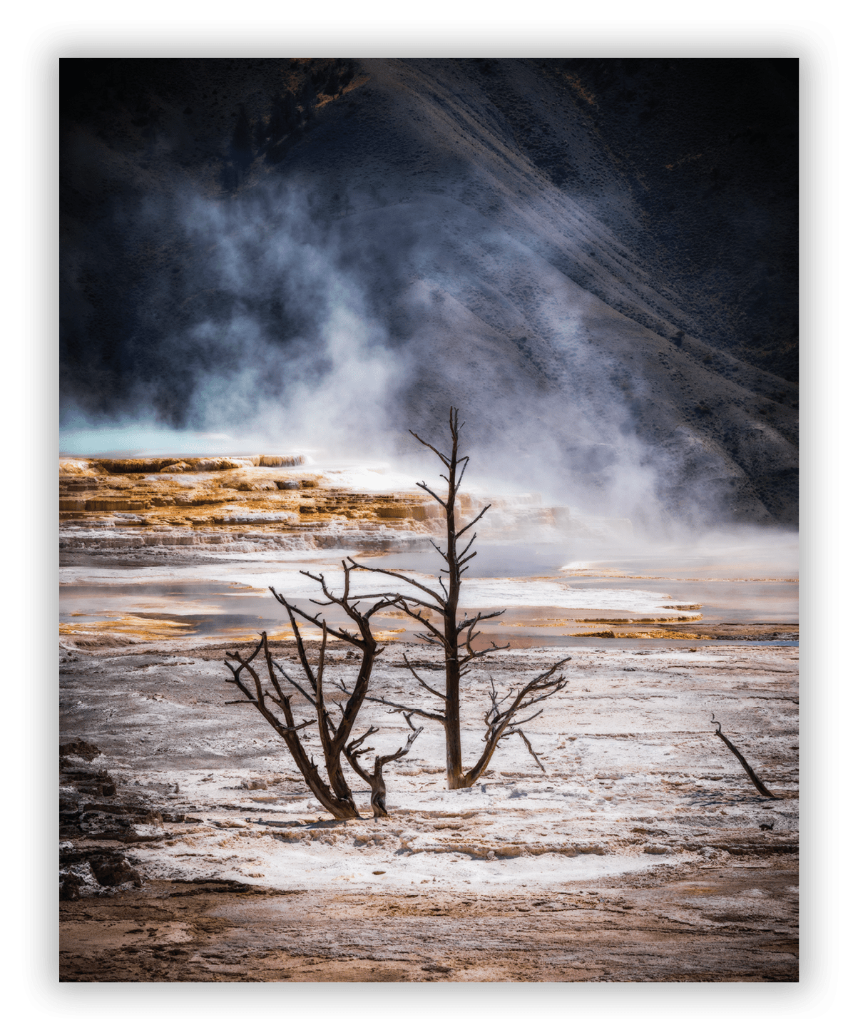 Mamoth Hot Springs Upper Terrace