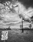 World's Largest Sandhill Crane, Steele, ND